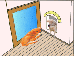 犬間