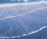 海