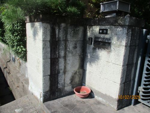 洗浄前