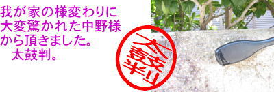 薬剤洗浄