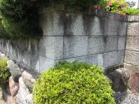 洗浄後